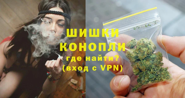 гашик Протвино