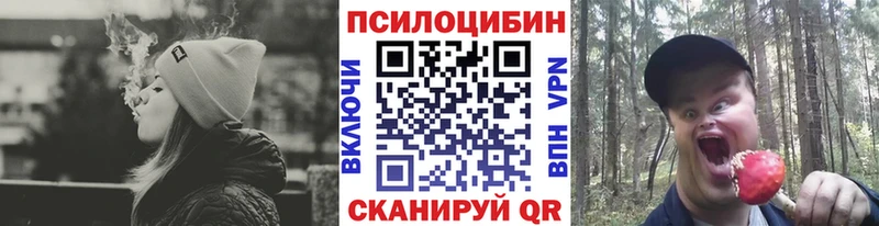 Галлюциногенные грибы прущие грибы  KRAKEN как зайти  Шали 