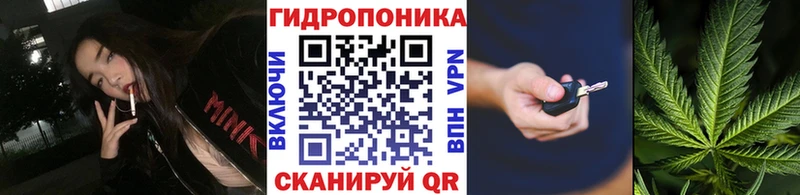 Конопля семена  Шали 